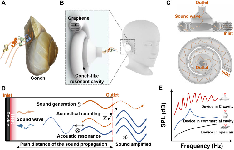 Frequency-tunable sound amplification in a conch-like cavity with graphene thermoacoustic resonance.