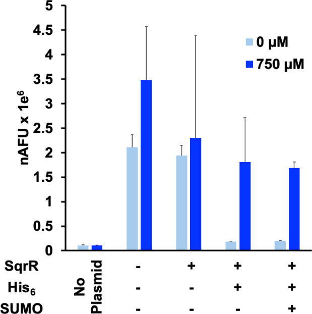 Development of a Transcriptional Biosensor for Hydrogen Sulfide That Functions under Aerobic and Anaerobic Conditions.