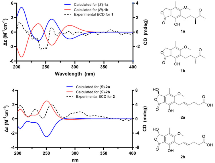 Isolation and Characterization of Secondary Metabolites from <i>Hydractinia</i>-Associated Fungus, <i>Penicillium brevicompactum</i> MSW10-1, and Their Inhibitory Effects on Hepatic Lipogenesis.