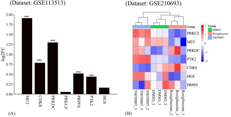A multi-omics exploration of PPARG activation in colon cancer: kinases featuring a PPRE sequence within regulatory regions.