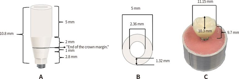 Fracture strength and failure mode of implant-supported provisional resin composite crowns on hydroxyapatite-coated sulfonated PEEK abutments following thermomechanical loading.