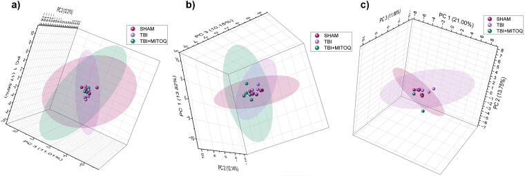 Exploring the Impact of Mitoquinone Supplementation on Glycan Profiles in a Repeated Mild Traumatic Brain Injury Mouse Model.