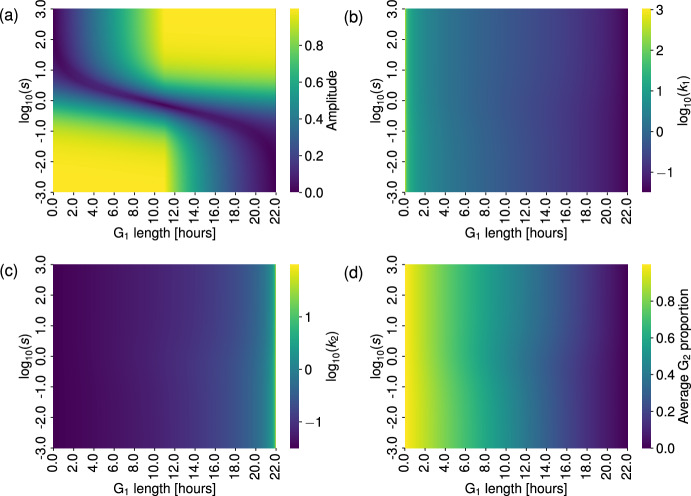 Characterising the Behaviour of a Structured PDE Model of the Cell Cycle in Contrast to a Corresponding ODE System.
