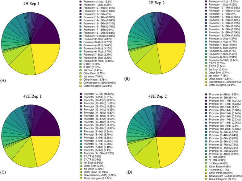 A multi-omics exploration of PPARG activation in colon cancer: kinases featuring a PPRE sequence within regulatory regions.
