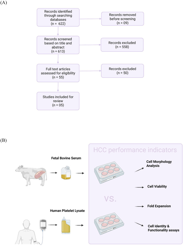 Towards the standardization of human platelet lysate production and its comparison to fetal bovine serum for human hematopoietic cell culture: a scoping review.