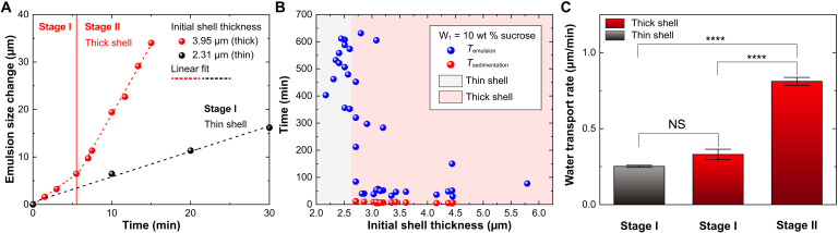Mixed surfactants for stabilizing and controlling water transport in double emulsions.