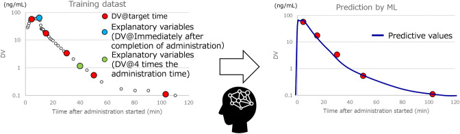 Machine Learning Prediction and Validation of Plasma Concentration-Time Profiles.
