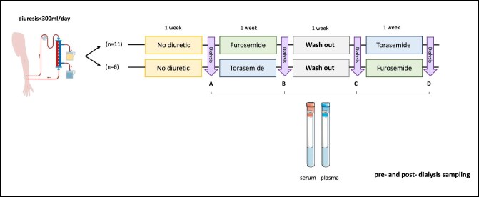 Loop diuretics in anuric hemodialysis patients for the clearance of protein-bound uremic toxins.