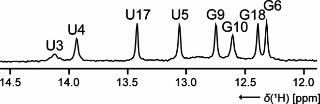 1H, 13C, 15N and 31P chemical shift assignment of the first stem-loop Guanidine-II riboswitch from Escherichia coli