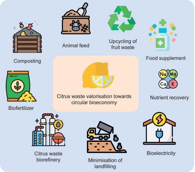 A Review on Innovative Biotechnological Approaches for the Upcycling of Citrus Fruit Waste to Obtain Value-Added Bioproducts<sup>§</sup>.