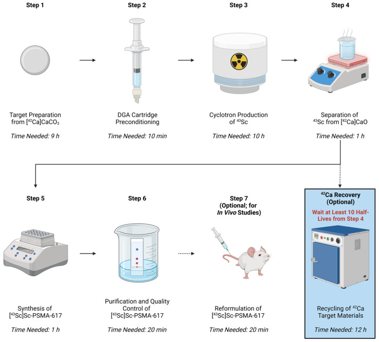 Synthesis of DOTA-Based <sup>43</sup>Sc Radiopharmaceuticals Using Cyclotron-Produced <sup>43</sup>Sc as Exemplified by [<sup>43</sup>Sc]Sc-PSMA-617 for PSMA PET Imaging.