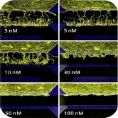 State-of-the-art in high throughput organ-on-chip for biotechnology and pharmaceuticals.