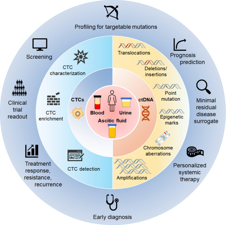 Advances in CTC and ctDNA detection techniques: opportunities for improving breast cancer care.
