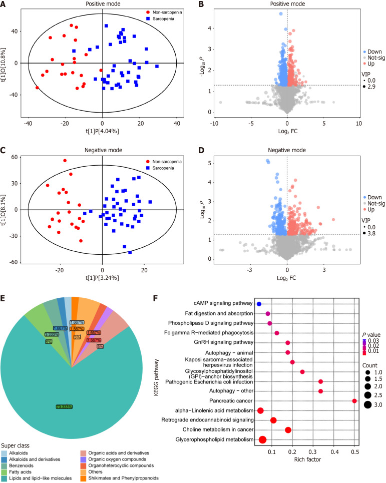 Machine learning to identify potential biomarkers for sarcopenia in liver cirrhosis.