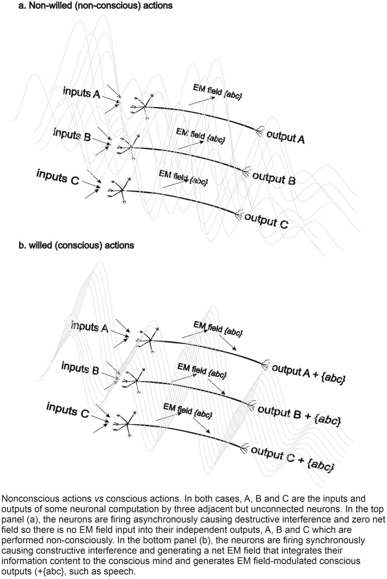 Computing with electromagnetic fields rather than binary digits: a route towards artificial general intelligence and conscious AI.