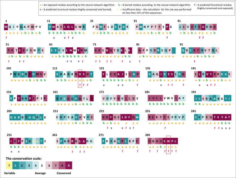 Functional and structural analysis of missense variants in the human <i>PDCD1</i> Gene.