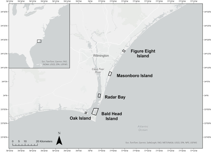Osmoregulation in the estuarine diamond-backed terrapin across a broad range of naturally occurring salinities.