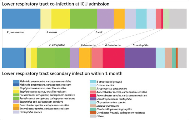 Bacterial co-infection and secondary infection in critically ill patients with acute respiratory failure of coronavirus disease 2019.
