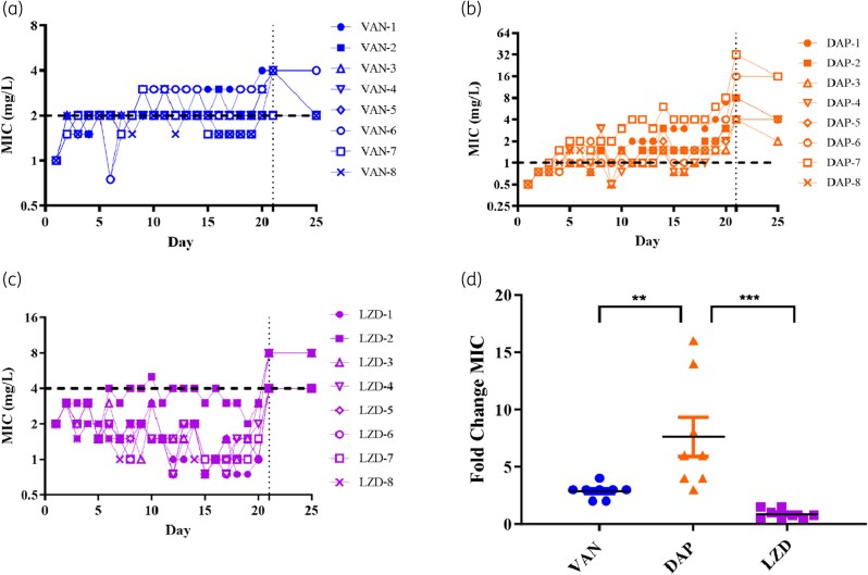Characterisation of <i>in vitro</i> resistance selection against second-/last-line antibiotics in methicillin-resistant <i>Staphylococcus aureus</i> ATCC 43300 strain.