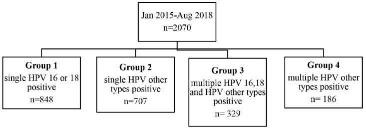 The histologic results in multiple-type HPV infections.