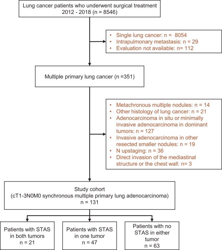 Concurrent spread through air spaces in dominant tumours impacts prognosis in synchronous multiple primary lung adenocarcinoma.
