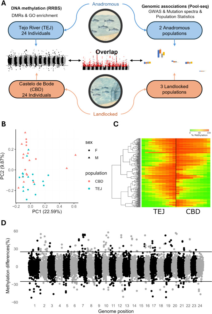 Adaptation to Freshwater in Allis Shad Involved a Combination of Genomic and Epigenomic Changes.