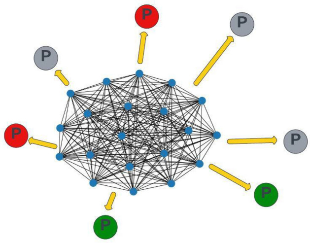 GNNMutation: a heterogeneous graph-based framework for cancer detection.