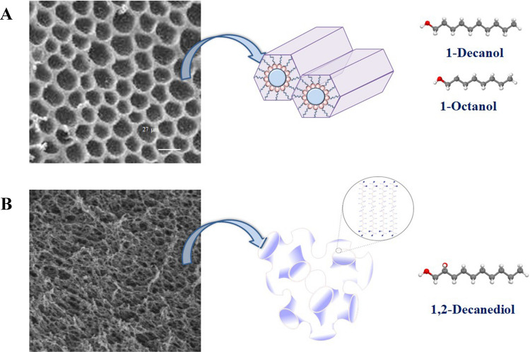 Supramolecular solvent-based all-in-one extractions for comprehensive suspect screening of chemicals in food contact materials.