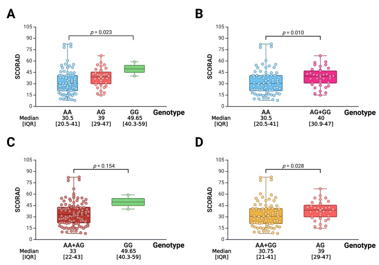 Genetic Variant rs1801275 in Atopic Dermatitis: Prevalence and Clinical Implications in Vietnamese Population.