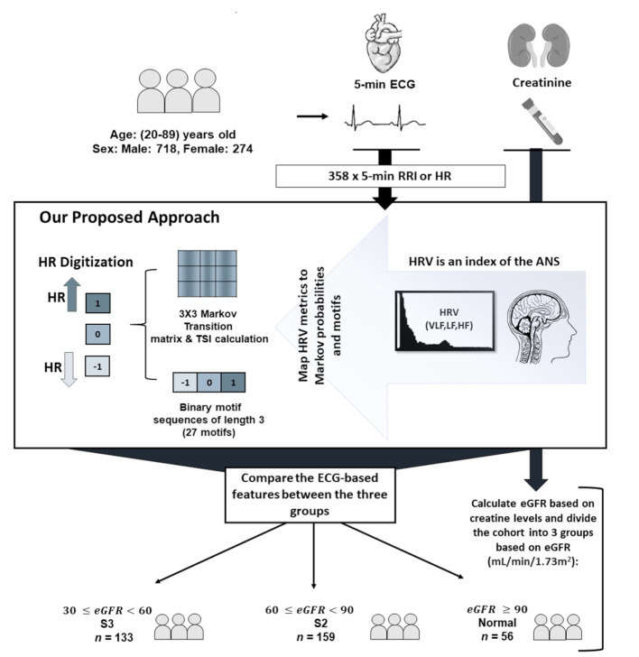Heart rate transition patterns reveal autonomic dysfunction in heart failure with renal function decline: a symbolic and Markov model approach.