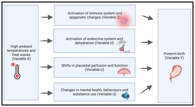 Study protocol for the Bio-HEAT study: Investigating the Biological pathways from HEAT exposure to preterm birth and other adverse maternal and child health outcomes in South Africa.
