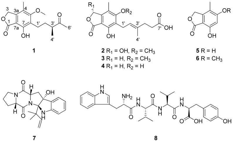 Isolation and Characterization of Secondary Metabolites from <i>Hydractinia</i>-Associated Fungus, <i>Penicillium brevicompactum</i> MSW10-1, and Their Inhibitory Effects on Hepatic Lipogenesis.