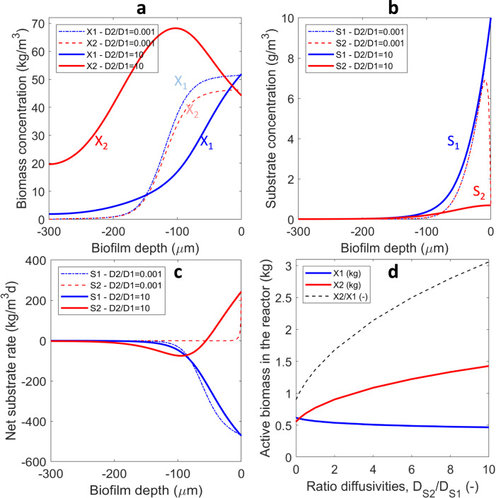 Diffusion-based mechanism explains spatial organization in cross-feeding biofilms.