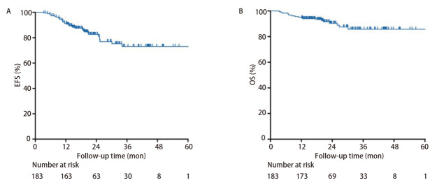 [Analysis of Efficacy and Safety of Neoadjuvant Immunochemotherapy in Patients with Stage IB-IIIB Non-small Cell Lung Cancer].