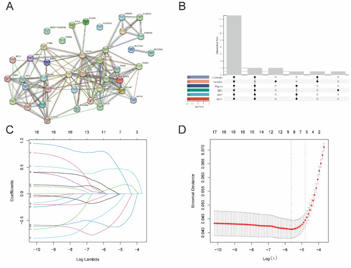 Identification of Subtypes and Diagnostic Markers Related to Necroptosis in Sepsis.