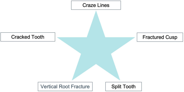 Cracked tooth syndrome: a diagnostic dilemma- a mini review.