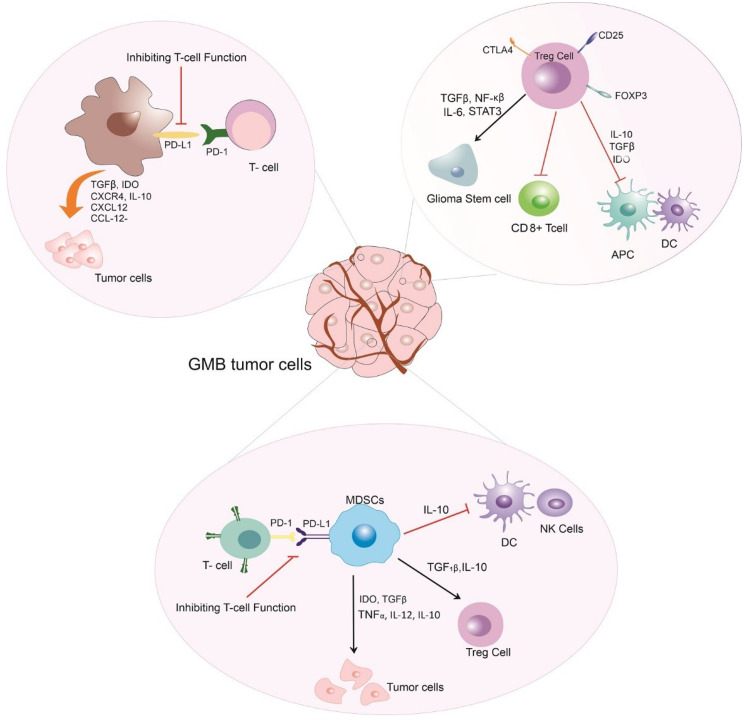 Recent developments in peptide vaccines against Glioblastoma, a review and update.