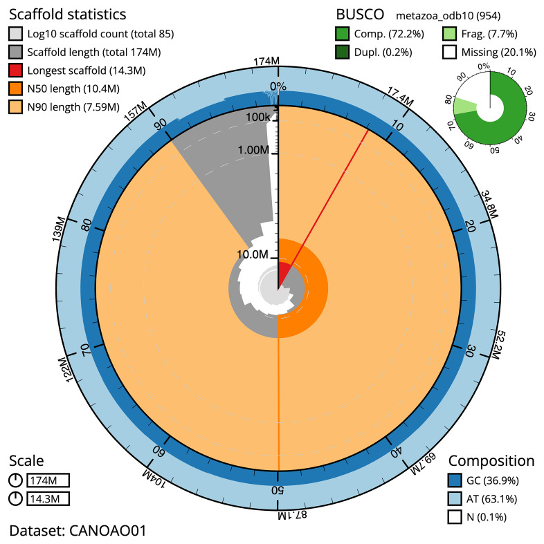 The chromosomal genome sequence of the marine leech, <i>Branchellion lobata</i> Moore, 1952 and its associated microbial metagenome sequences.