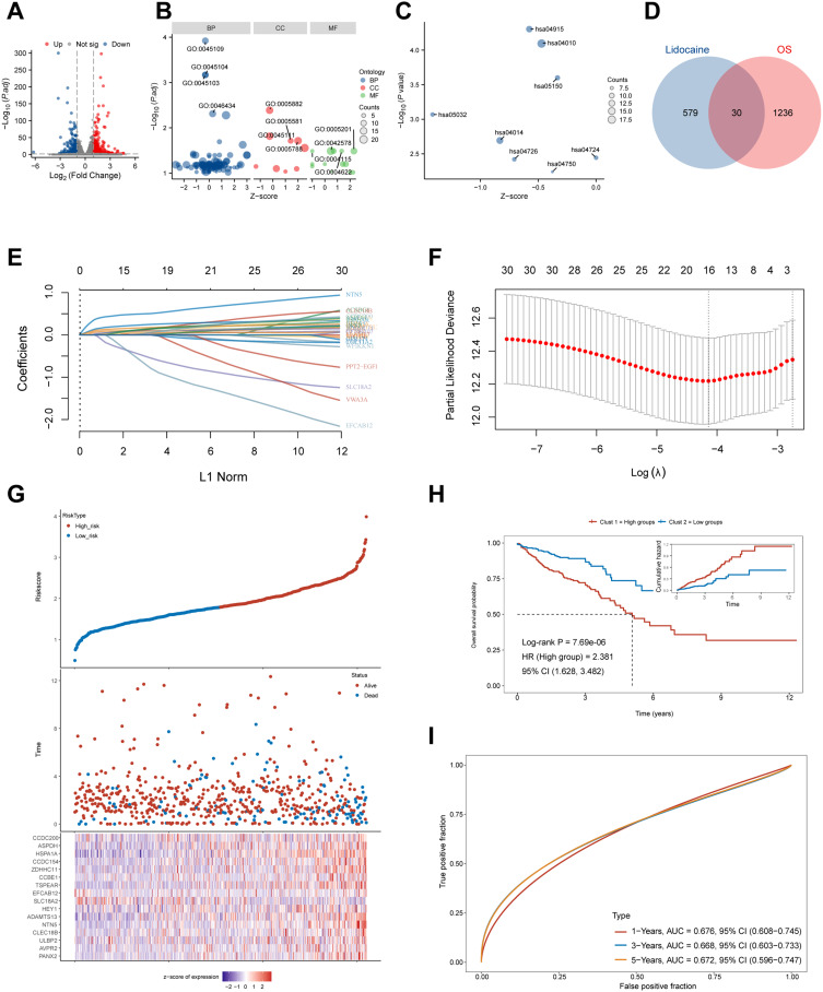 Lidocaine as a Potential Therapeutic Agent in Colorectal Cancer: A Study of Gene Expression and Prognosis.