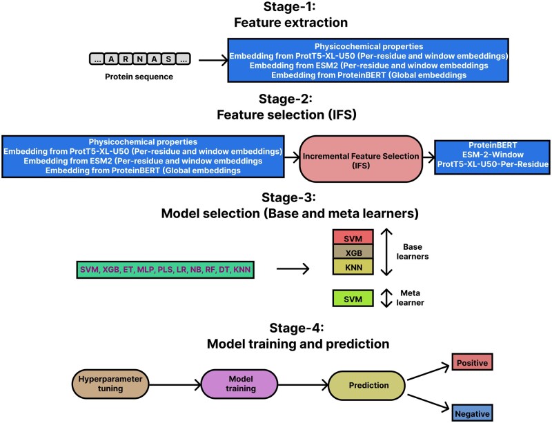 StackGlyEmbed: prediction of N-linked glycosylation sites using protein language models.