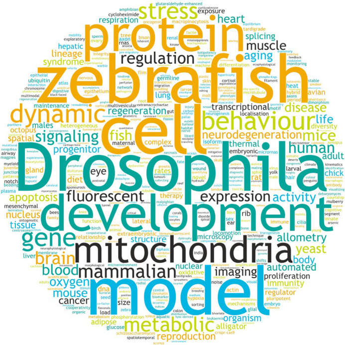 Biology Open 2024 - a year in review.
