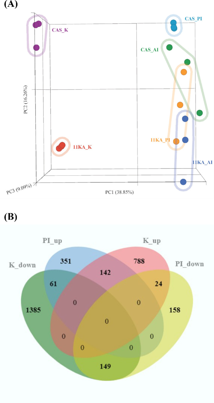 Functional transposition of renal functions to the posterior intestine during maturation in male three-spined stickleback.