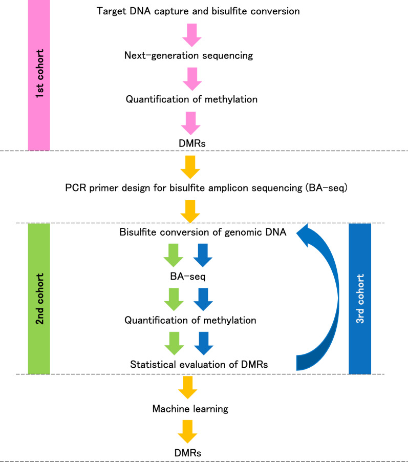 Identification of diagnostic DNA methylation markers in the blood of Japanese Alzheimer's disease patients using methylation capture sequencing.