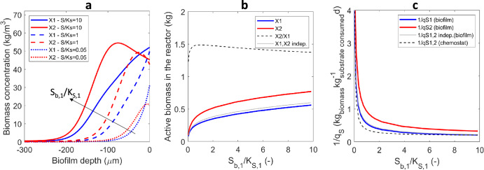 Diffusion-based mechanism explains spatial organization in cross-feeding biofilms.