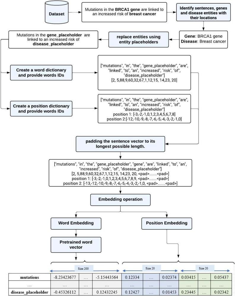 Hybrid deep learning models for text-based identification of gene-disease associations.