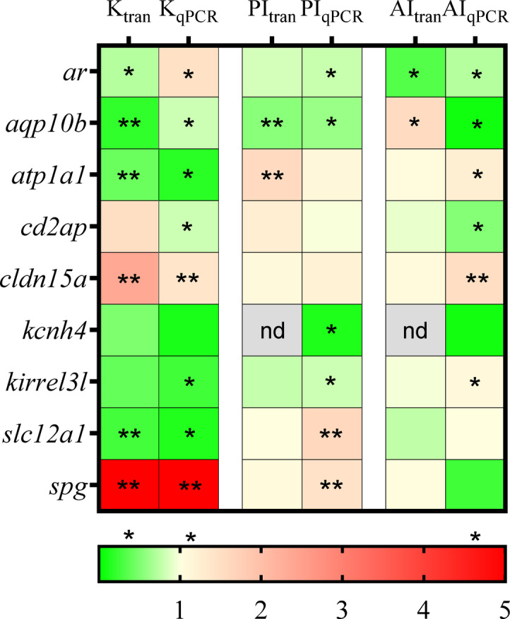 Functional transposition of renal functions to the posterior intestine during maturation in male three-spined stickleback.