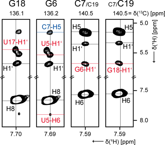 1H, 13C, 15N and 31P chemical shift assignment of the first stem-loop Guanidine-II riboswitch from Escherichia coli