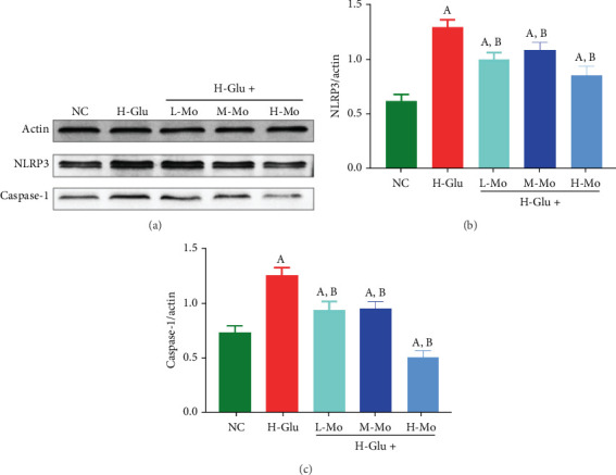 Mogrosides Protect Against Diabetic Kidney Injury via Inhibiting Macrophage Activation in a Mouse Model.