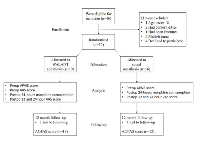 A randomized prospective clinical study comparing wide-awake local anesthesia no tourniquet (WALANT) and spinal anesthesia in the surgical treatment of ankle fractures.