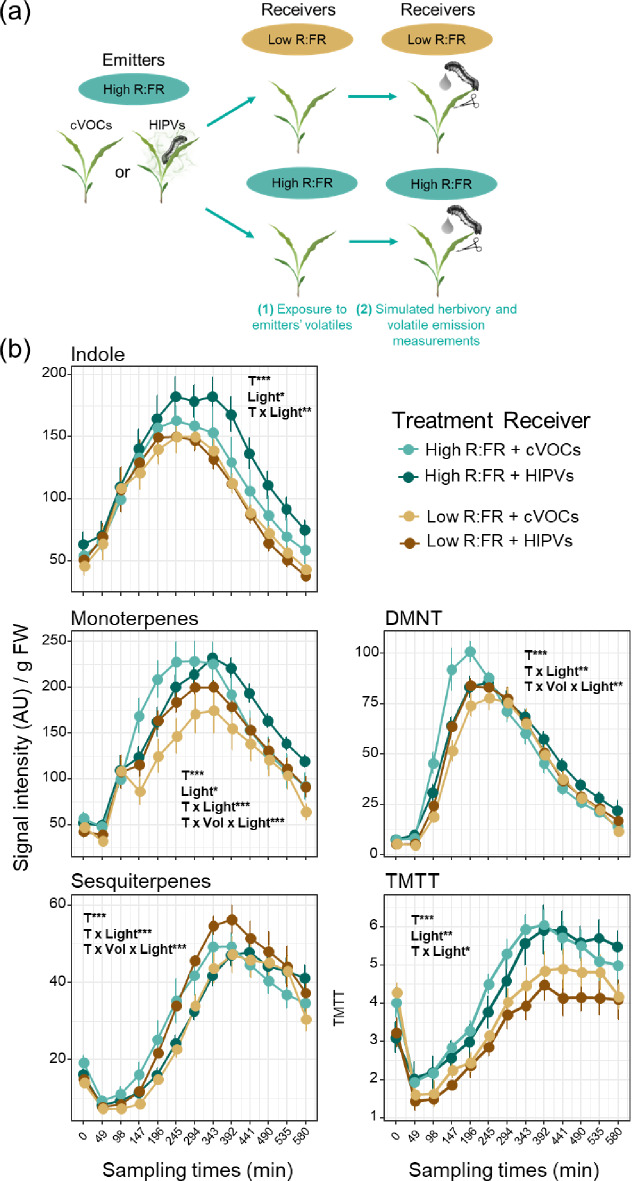 Volatiles from Low R: FR-Treated Maize Plants Increase the Emission of Herbivore-Induced Plant Volatiles in their Neighbors.